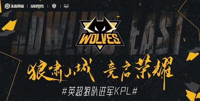 软件无法在